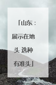 山东：展示在地头 选种有准头