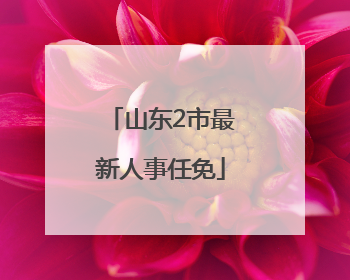 山东2市最新人事任免