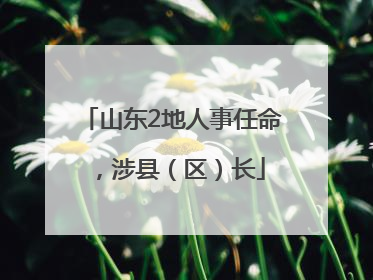 山东2地人事任命，涉县（区）长