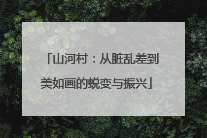 山河村：从脏乱差到美如画的蜕变与振兴