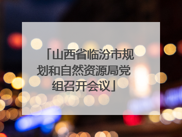 山西省临汾市规划和自然资源局党组召开会议