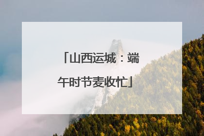 山西运城：端午时节麦收忙