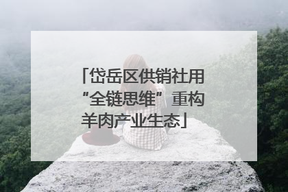 岱岳区供销社用“全链思维”重构羊肉产业生态
