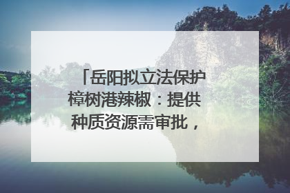 岳阳拟立法保护樟树港辣椒：提供种质资源需审批，违规最高罚5万