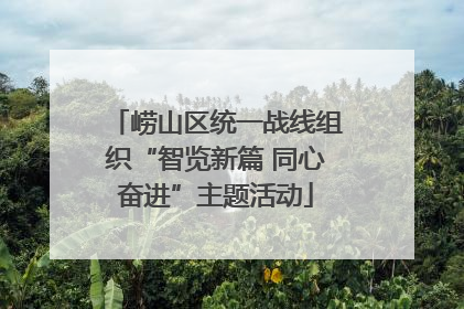 崂山区统一战线组织“智览新篇 同心奋进”主题活动