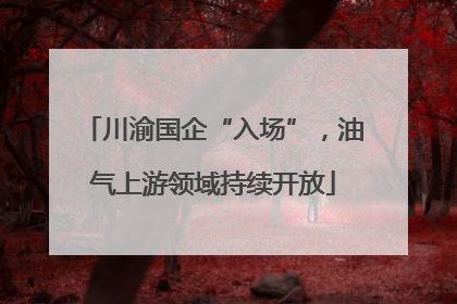 川渝国企“入场”，油气上游领域持续开放