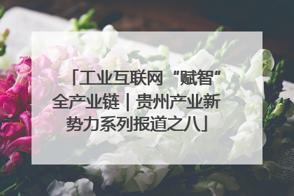 工业互联网“赋智”全产业链｜贵州产业新势力系列报道之八