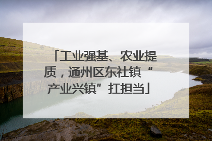 工业强基、农业提质，通州区东社镇“产业兴镇”扛担当