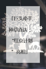 巨头牵手种草直达：“红京计划”亮相