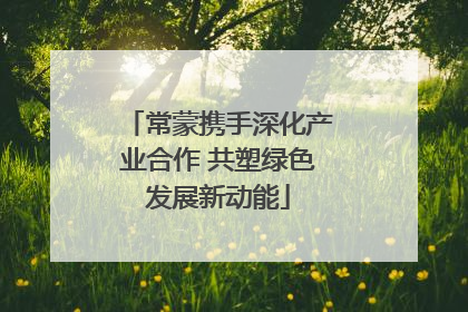 常蒙携手深化产业合作 共塑绿色发展新动能