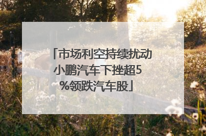 市场利空持续扰动 小鹏汽车下挫超5%领跌汽车股