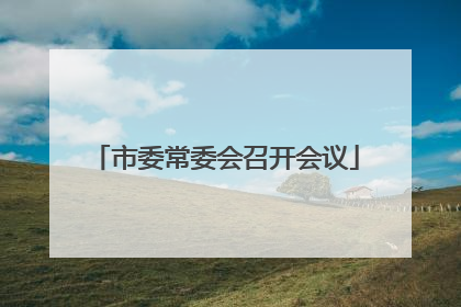 市委常委会召开会议