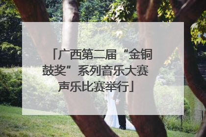 广西第二届“金铜鼓奖”系列音乐大赛声乐比赛举行