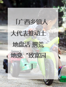 广西乡镇人大代表推动土地盘活 撂荒地变“致富园”