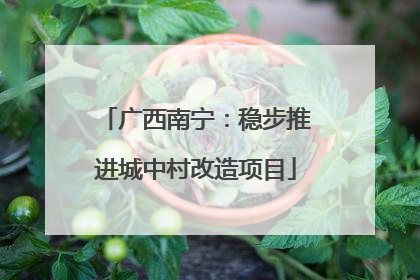 广西南宁：稳步推进城中村改造项目