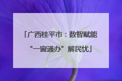 广西桂平市：数智赋能“一窗通办”解民忧