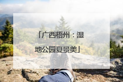广西梧州：湿地公园夏景美