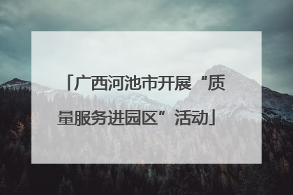 广西河池市开展“质量服务进园区”活动