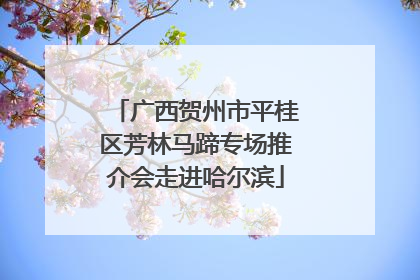广西贺州市平桂区芳林马蹄专场推介会走进哈尔滨