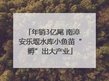 年销3亿尾 南漳安乐堰水库小鱼苗“孵”出大产业