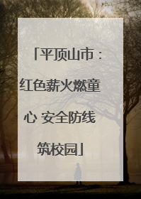 平顶山市：红色薪火燃童心 安全防线筑校园