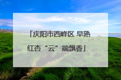 庆阳市西峰区 早熟红杏“云”端飘香