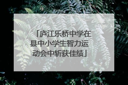 庐江乐桥中学在县中小学生智力运动会中斩获佳绩