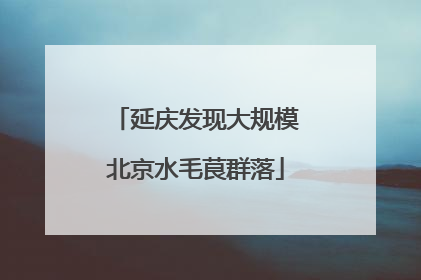 延庆发现大规模北京水毛茛群落