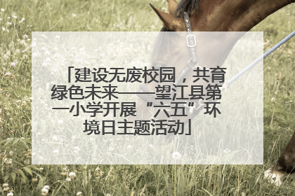 建设无废校园，共育绿色未来——望江县第一小学开展“六五”环境日主题活动
