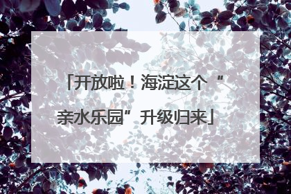 开放啦！海淀这个“亲水乐园”升级归来