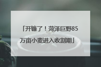 开镰了！菏泽巨野85万亩小麦进入收割期