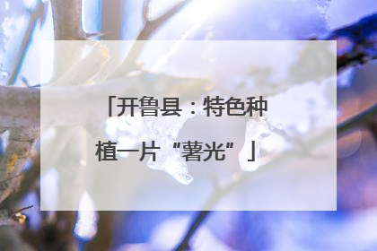 开鲁县：特色种植一片“薯光”