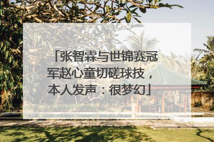 张智霖与世锦赛冠军赵心童切磋球技，本人发声：很梦幻