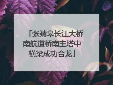 张靖皋长江大桥南航道桥南主塔中横梁成功合龙
