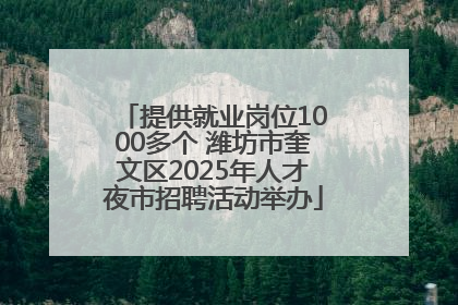 提供就业岗位1000多个 潍坊市奎文区2025年人才夜市招聘活动举办