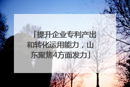 提升企业专利产出和转化运用能力，山东聚焦4方面发力