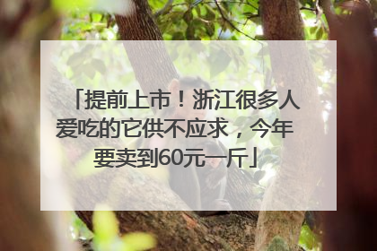 提前上市！浙江很多人爱吃的它供不应求，今年要卖到60元一斤