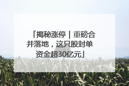 揭秘涨停｜重磅合并落地，这只股封单资金超30亿元
