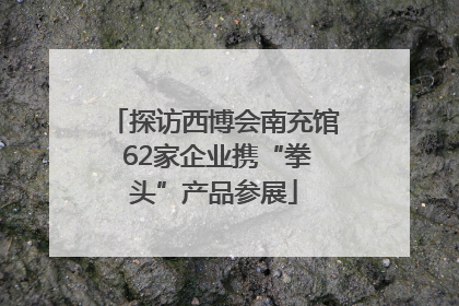 探访西博会南充馆 62家企业携“拳头”产品参展