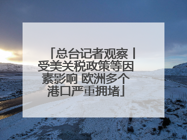 总台记者观察丨受美关税政策等因素影响 欧洲多个港口严重拥堵