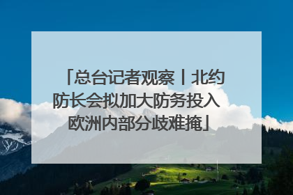 总台记者观察丨北约防长会拟加大防务投入 欧洲内部分歧难掩
