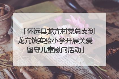 怀远县龙亢村党总支到龙亢镇实验小学开展关爱留守儿童慰问活动