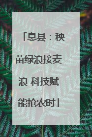 息县：秧苗绿浪接麦浪 科技赋能抢农时
