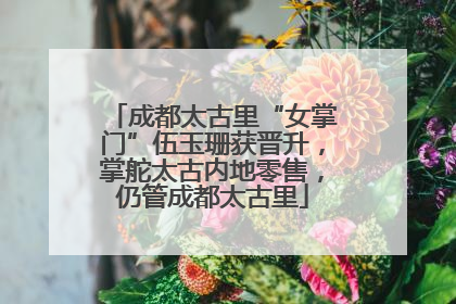 成都太古里“女掌门”伍玉珊获晋升，掌舵太古内地零售，仍管成都太古里