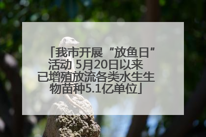 我市开展“放鱼日”活动 5月20日以来已增殖放流各类水生生物苗种5.1亿单位