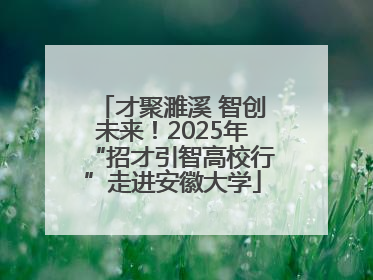 才聚濉溪 智创未来！2025年“招才引智高校行”走进安徽大学