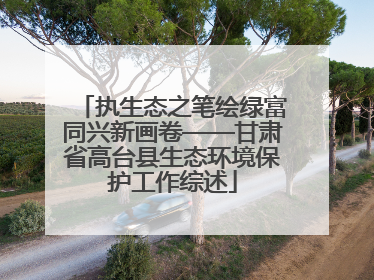 执生态之笔绘绿富同兴新画卷——甘肃省高台县生态环境保护工作综述