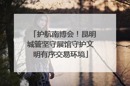 护航南博会！昆明城管坚守展馆守护文明有序交易环境