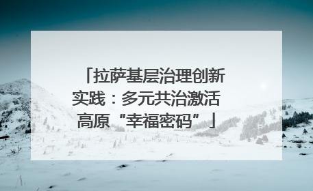 拉萨基层治理创新实践：多元共治激活高原“幸福密码”