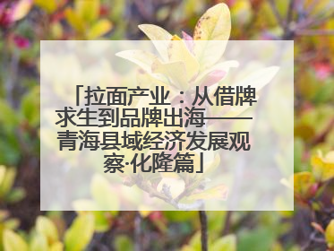 拉面产业：从借牌求生到品牌出海——青海县域经济发展观察·化隆篇